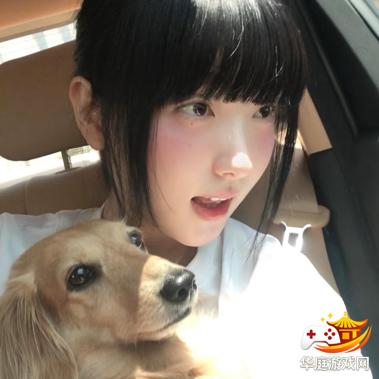 暗黑破坏神：不朽中深度解析暗影突袭副本的玩法与技巧