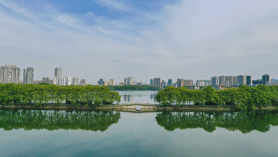 千年古韵邂逅数字体育活力 2025和平精英PEL运动会即将于九江举行