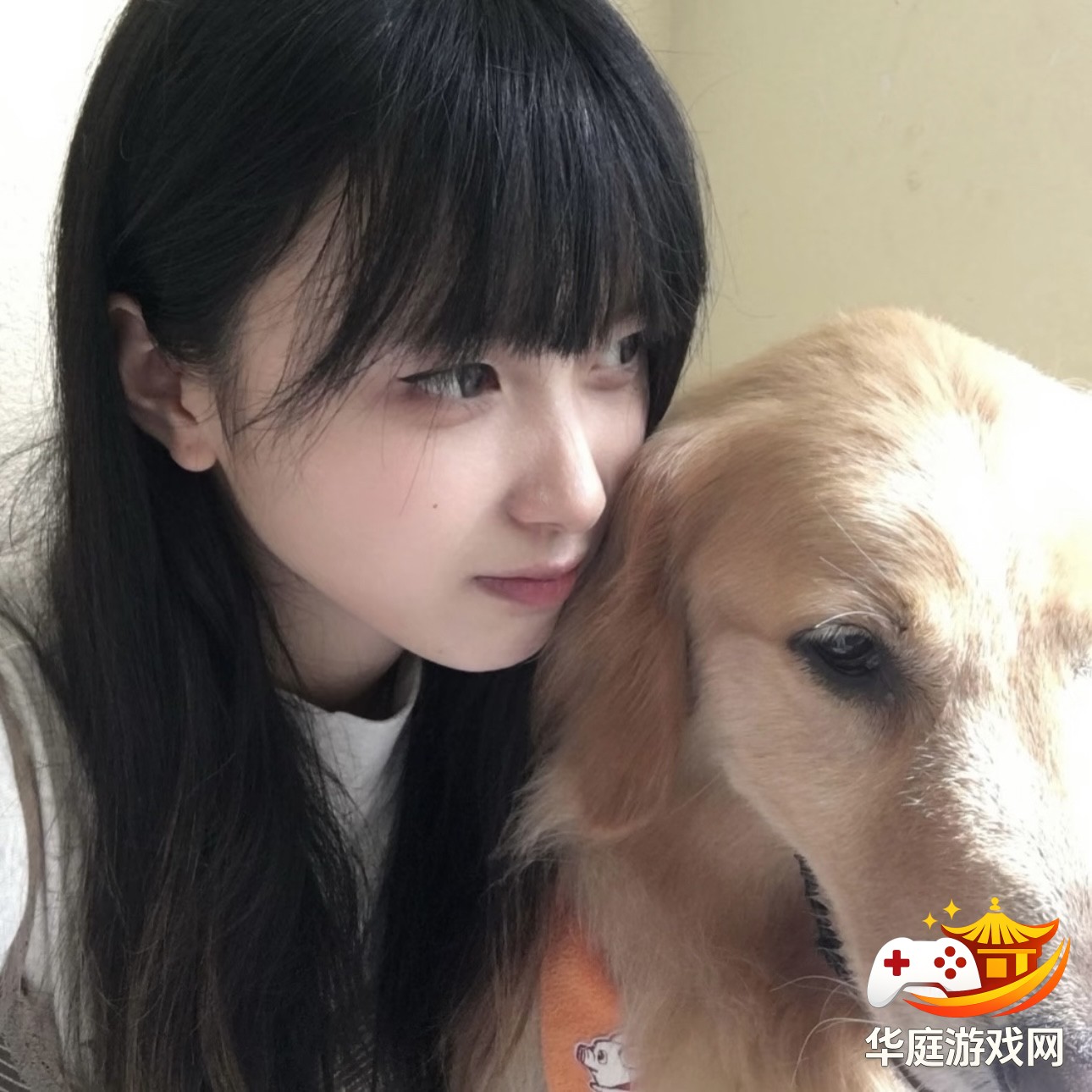 王者荣耀峡谷中如何有效击杀远程英雄的实战技巧