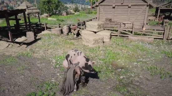 我在《红色沙漠》学