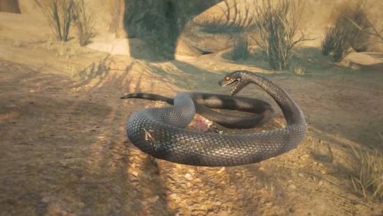 NS2迎来开放世界生存冒险大作《小小世界:原野求生》!2026年春发售