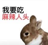 到底什么游戏，终结了B站和小红书的“战争”