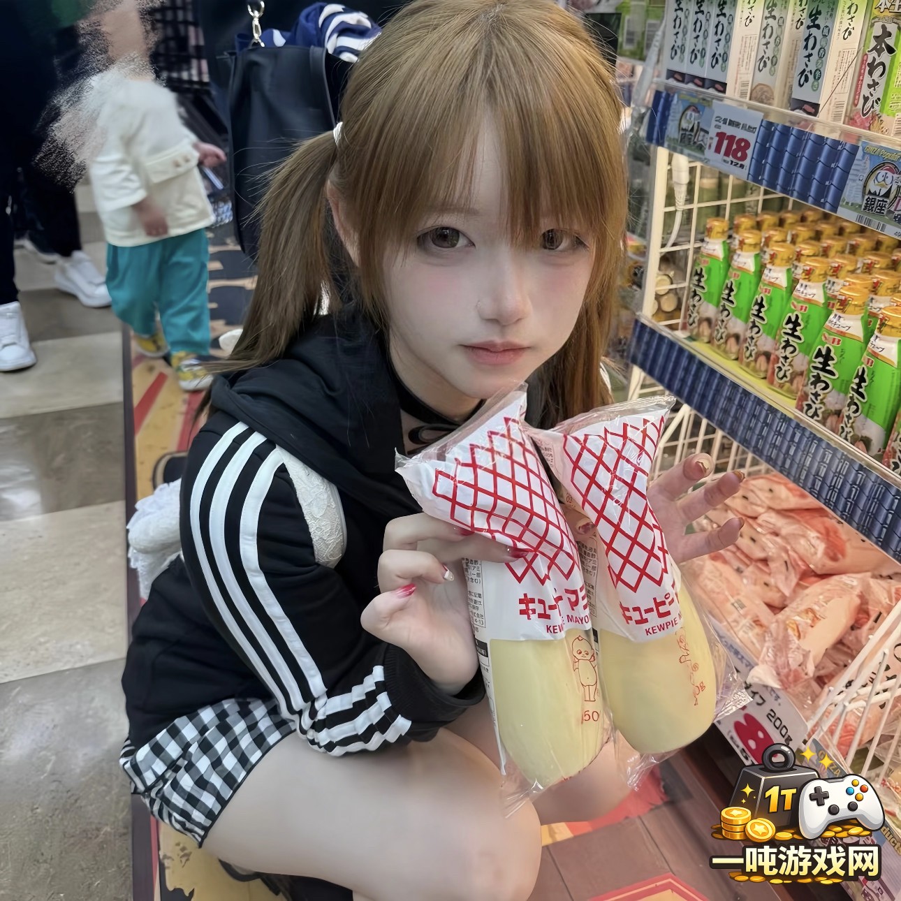 饥荒中荒原区域的资源采集与生存技巧详解