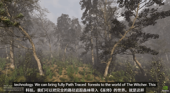 《巫师4》将采用英伟达技术 降低显存占用释放性能