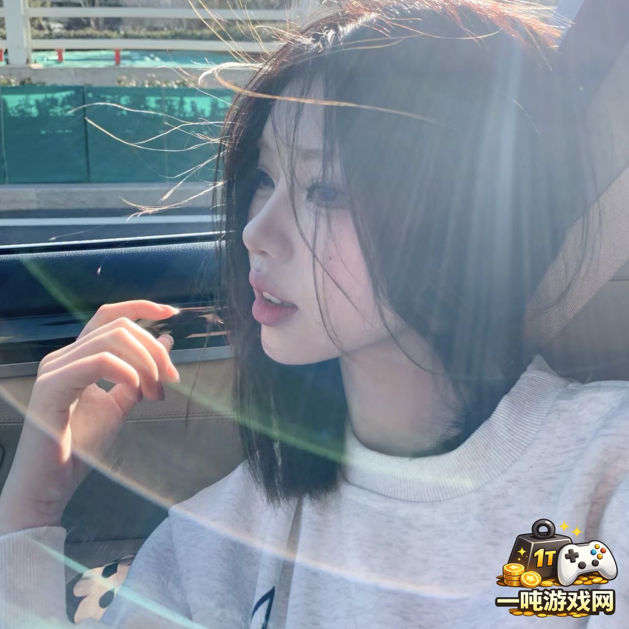 植物大战僵尸2中各关卡的植物搭配与防守策略指导