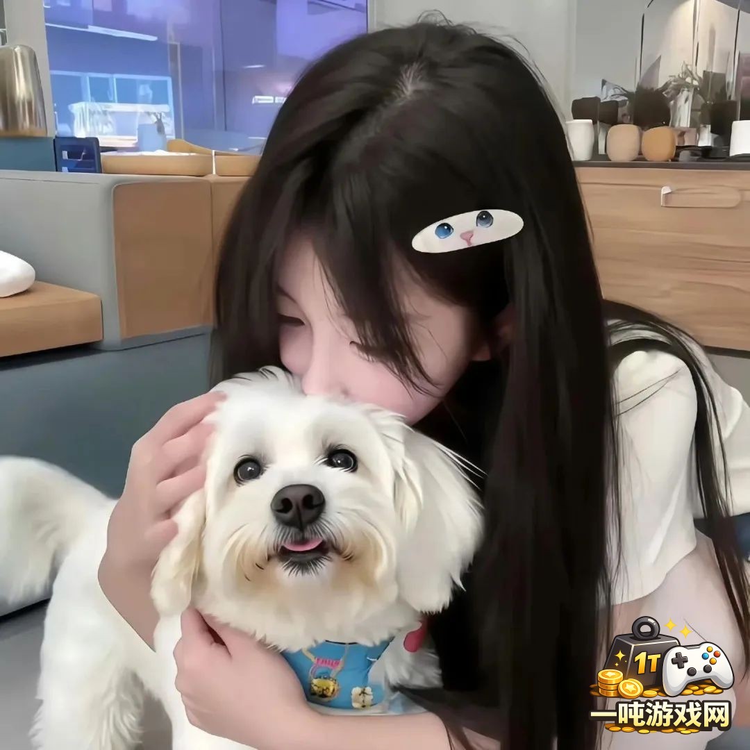 剑网3：指尖江湖中如何高效通关天机阁副本的详细攻略