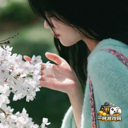 饥荒中荒野生存技巧：如何合理利用资源应对夜间危机