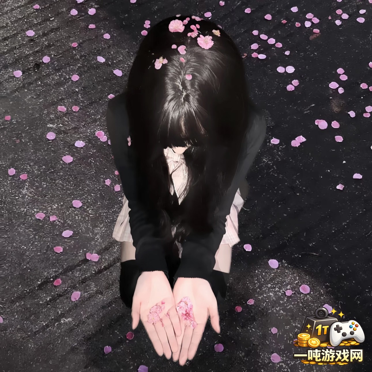 探索成色18K8.35MB官网版的特色功能与使用体验