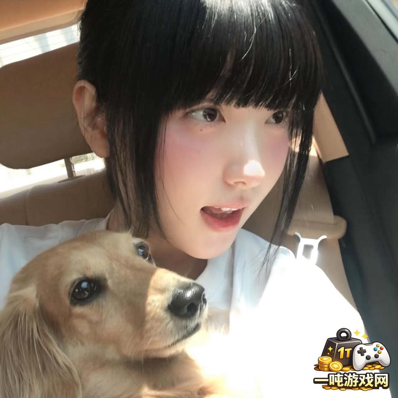 幻兽帕鲁中如何高效捕捉稀有幻兽的详细技巧指南