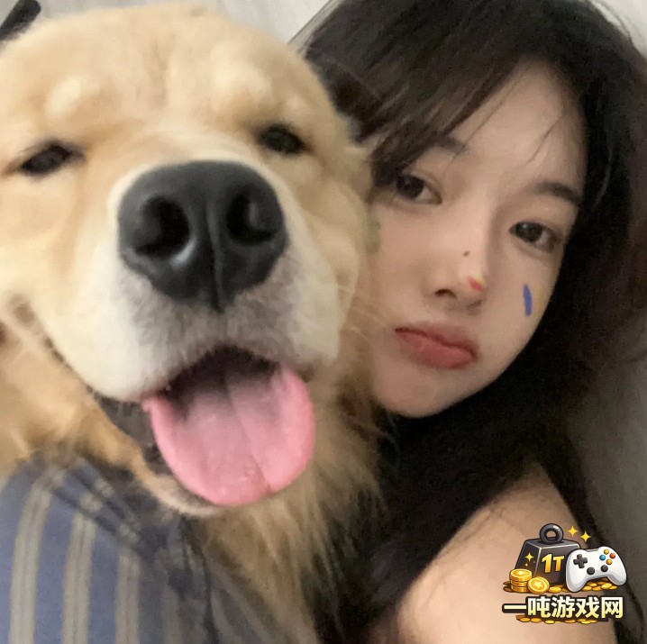 深入解析txvlogcom网业板的功能与应用技巧