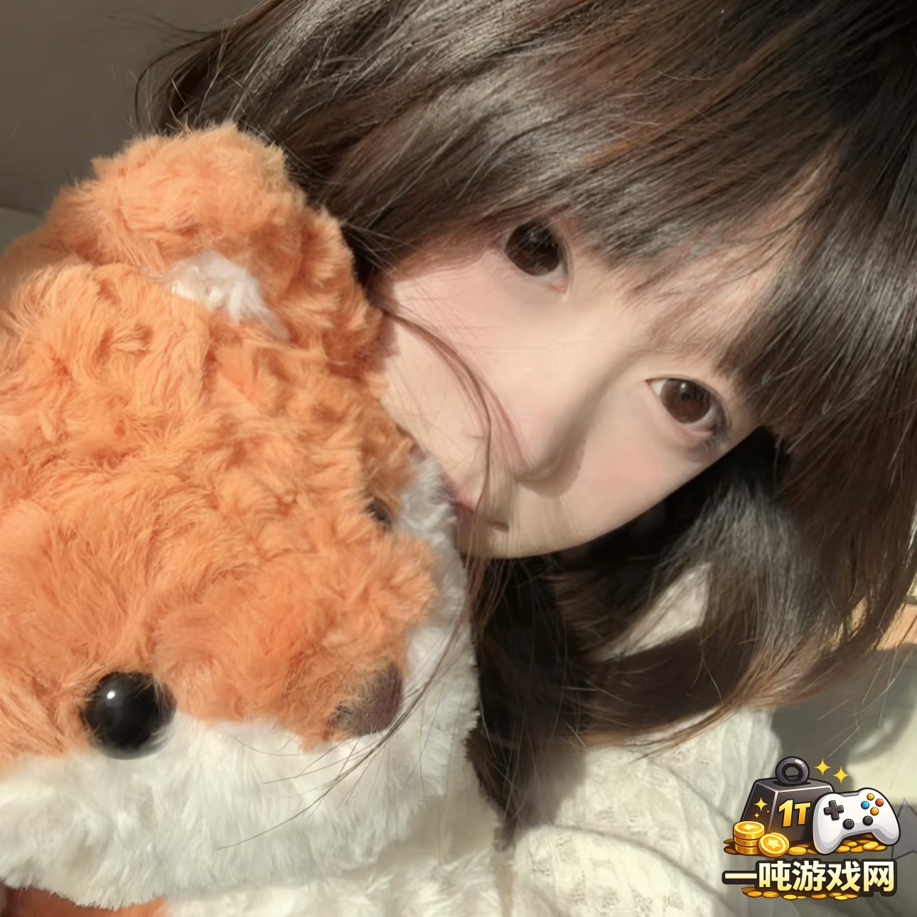 战舰世界中的护卫舰战术与使用技巧详解