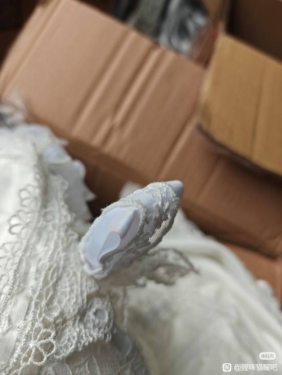 百万粉丝Coser翻车!租借Cos服污损报废 业内称是惯犯