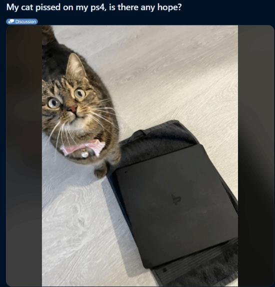猫咪在PS4上尿了!网友崩溃求助:还有救吗?