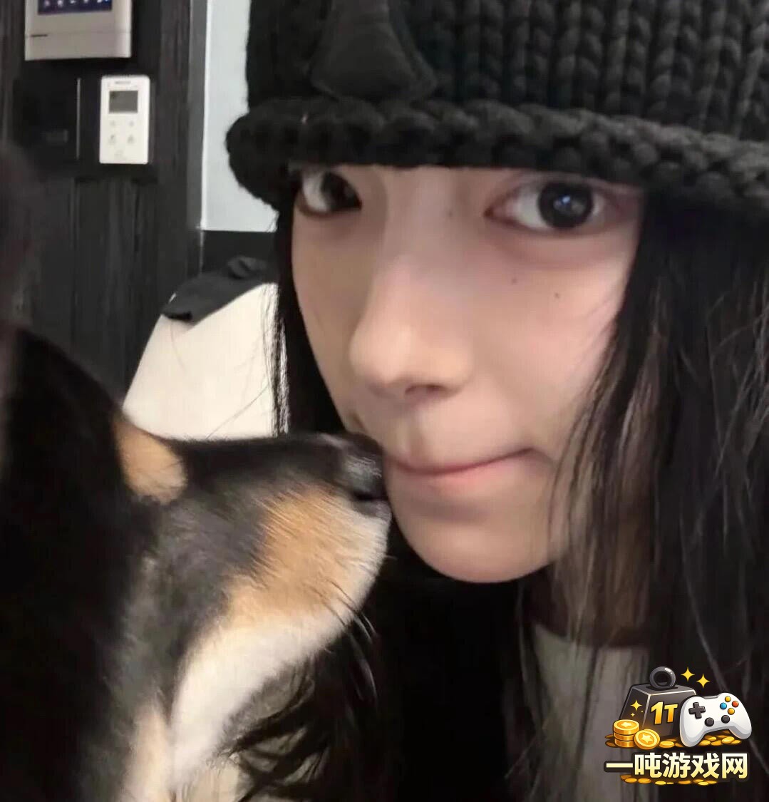 江南百景图中苏州园林景观打造与布置详解